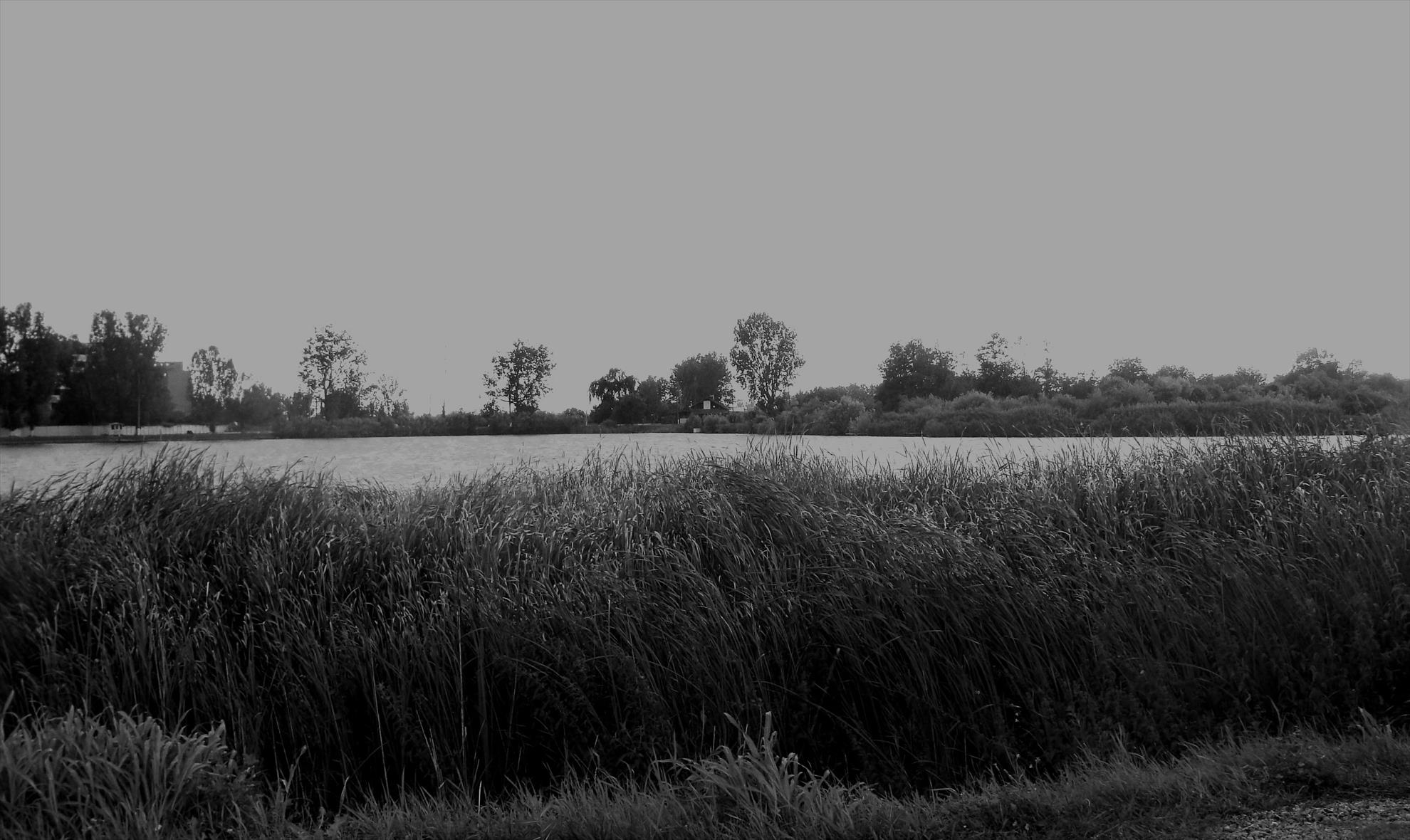 Pleasa 6 - 7 iul. - dsc00823.JPG